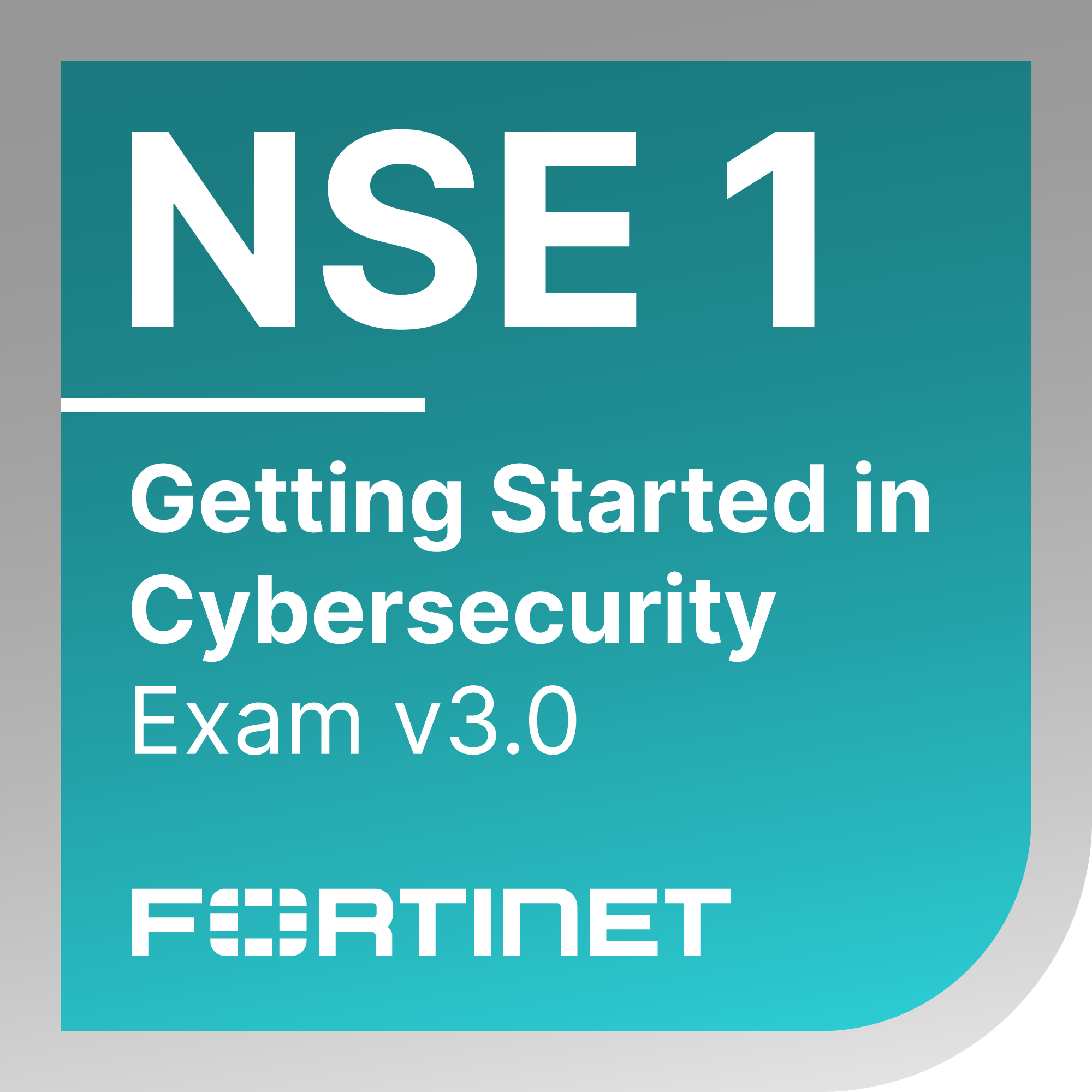 Fortinet NSE